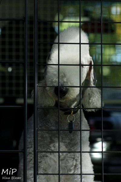 2010-10-03 Coursing-Training GE (2).jpg